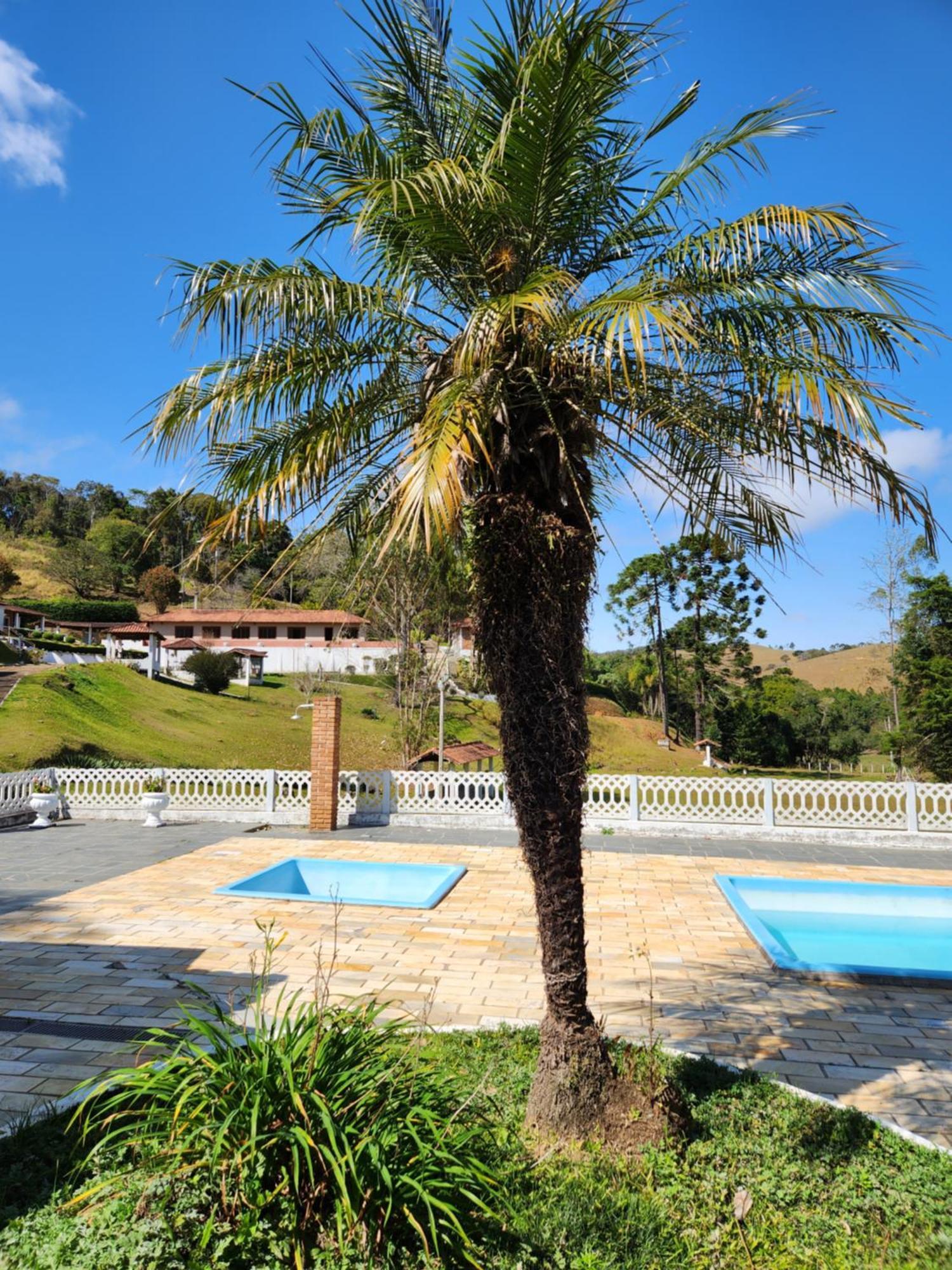 Pedacinho Do Ceu - Casa Inteira